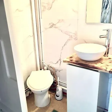 Διαμέρισμα Hyper Centre Dans Ancien Palace Face Aux Thermes Mont-Dore